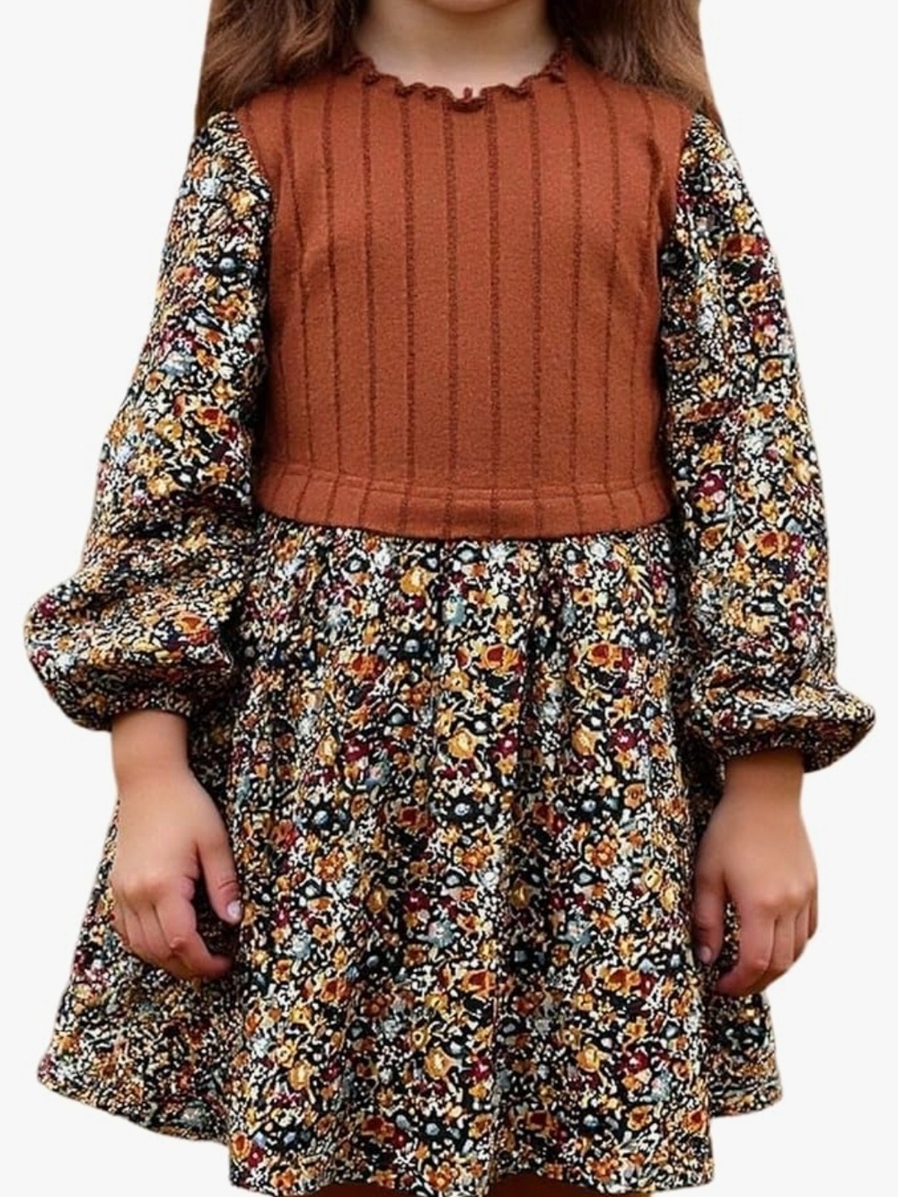 NWT Girl's Fall Floral Dress Long Sleeve A Line Cute Casual Short Dress